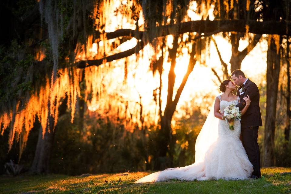 Bridal Party