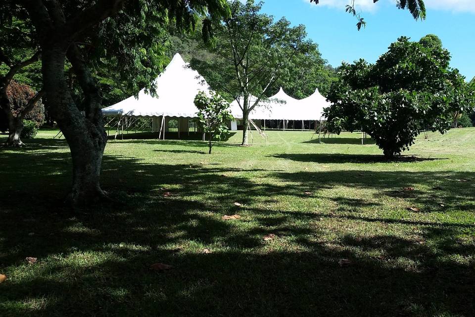 Reception tents