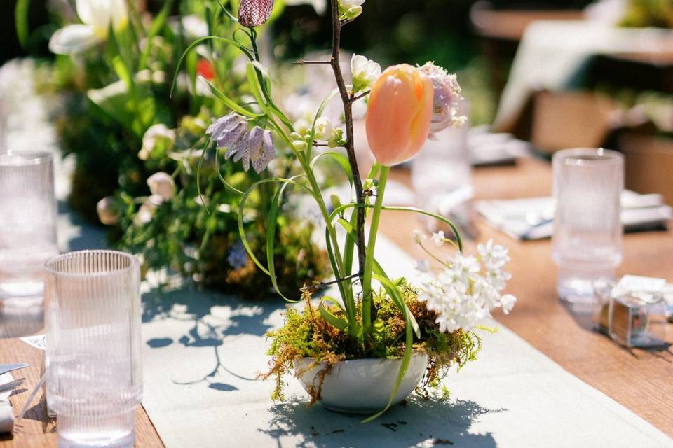 Walter Pine Floral Studio