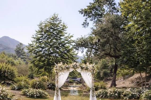 Weddings at Sycamore Gardens