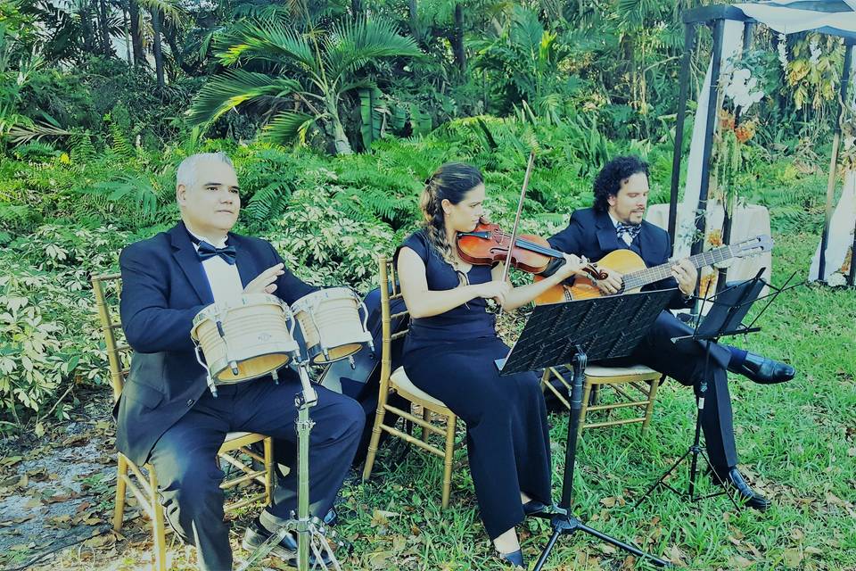 Unique trio for ceremony