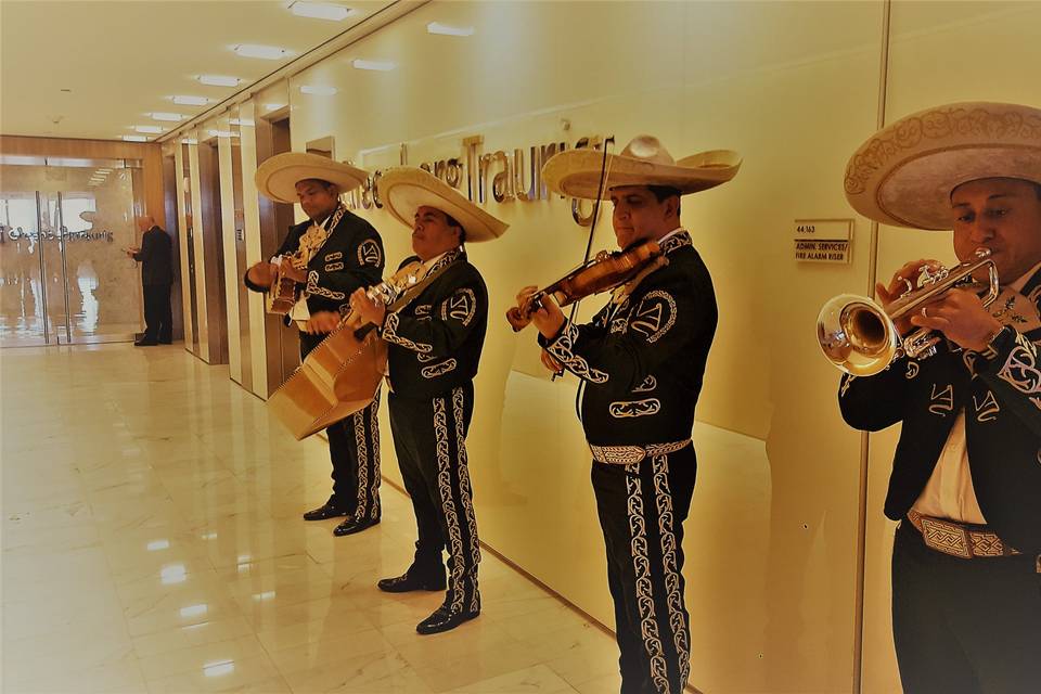 Mariachi