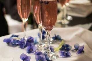 Stephanie Scott-Huffman Photography