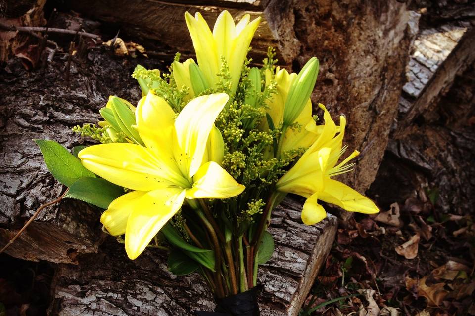 Firefly Flowers