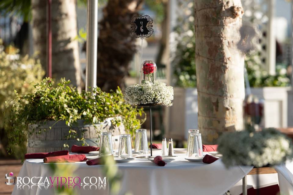 Outdoor reception