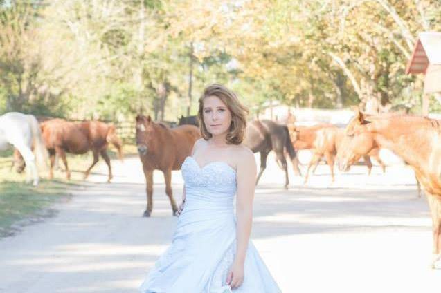 Courtney Whitehurst Photography