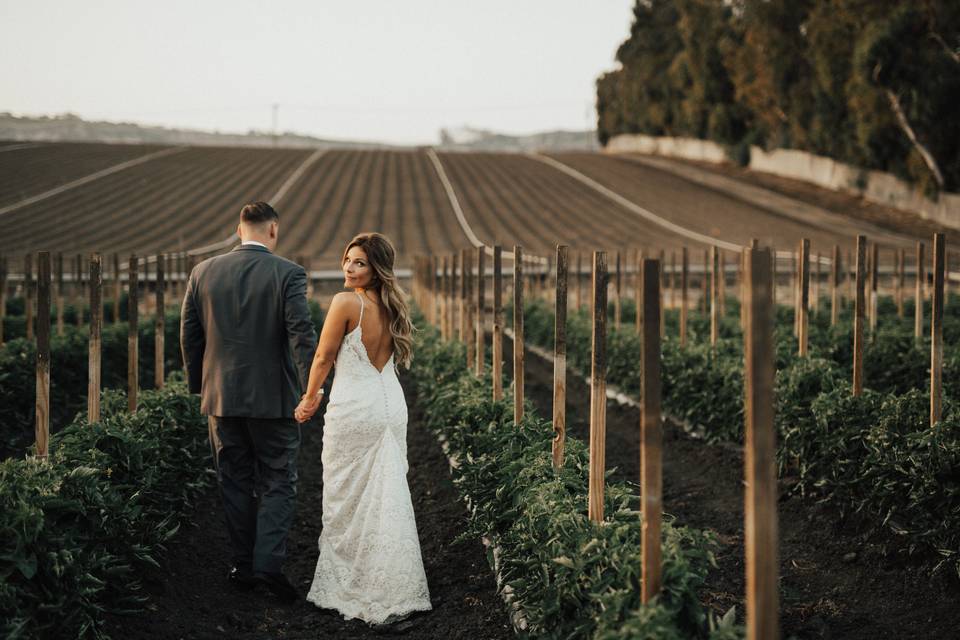 Take photos in the fields.