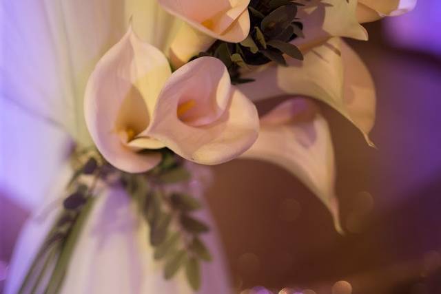 Flowers holding the curtain