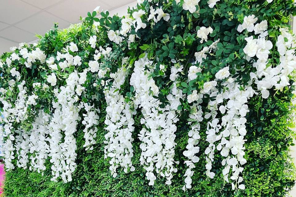 Beautiful Backdrops