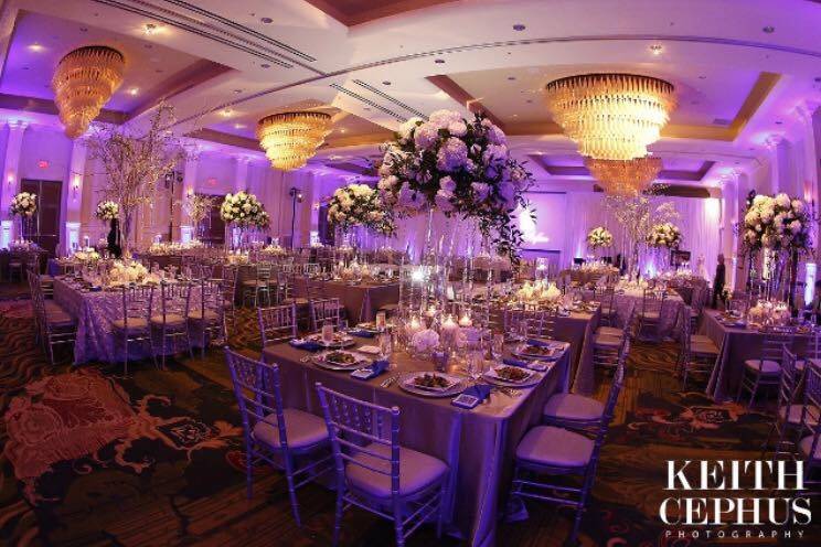 Elana Walker Events