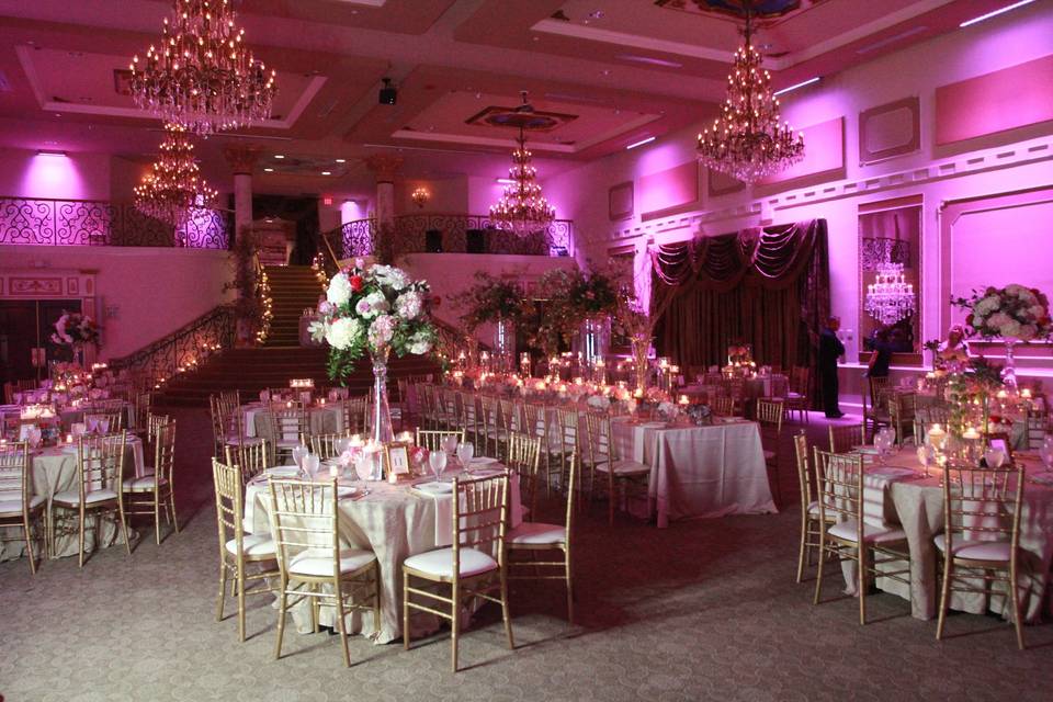 Elana Walker Events