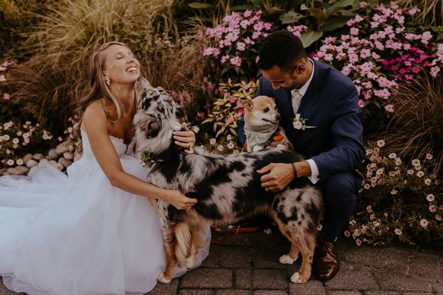 Wedding couple