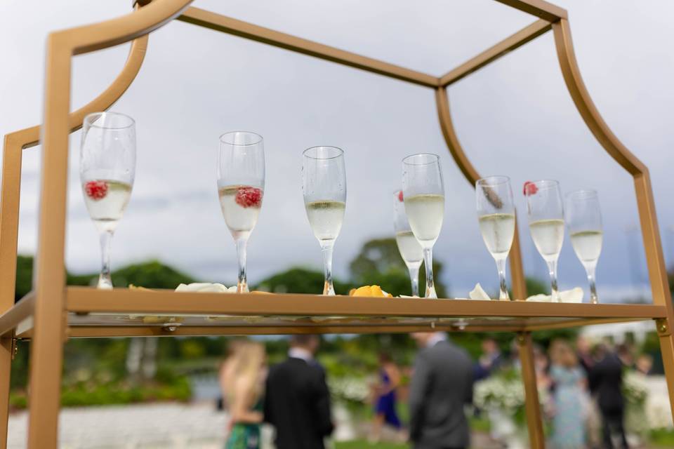 Champagne Shelf