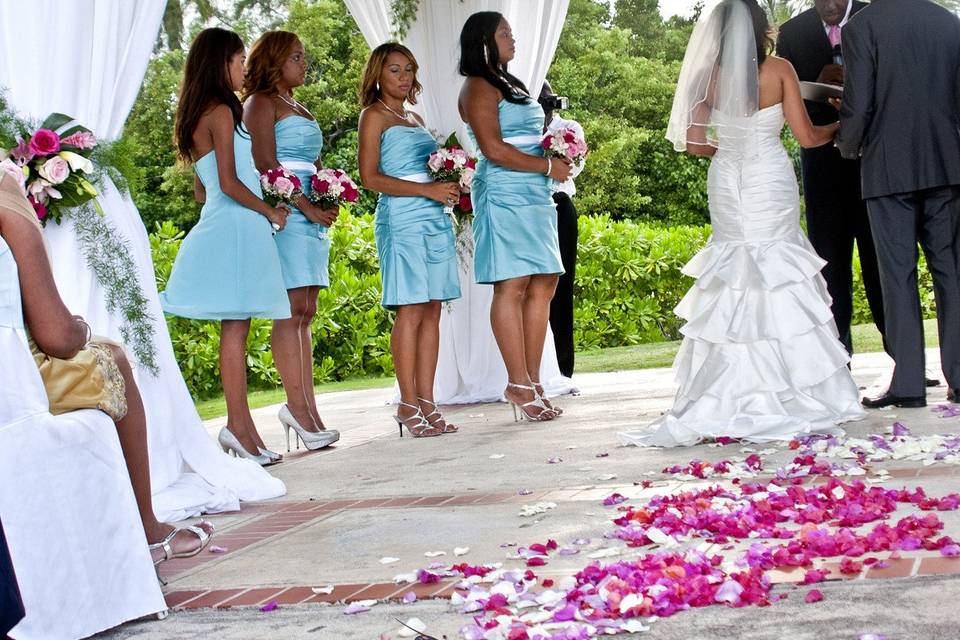 ImagePro Weddings & Decor