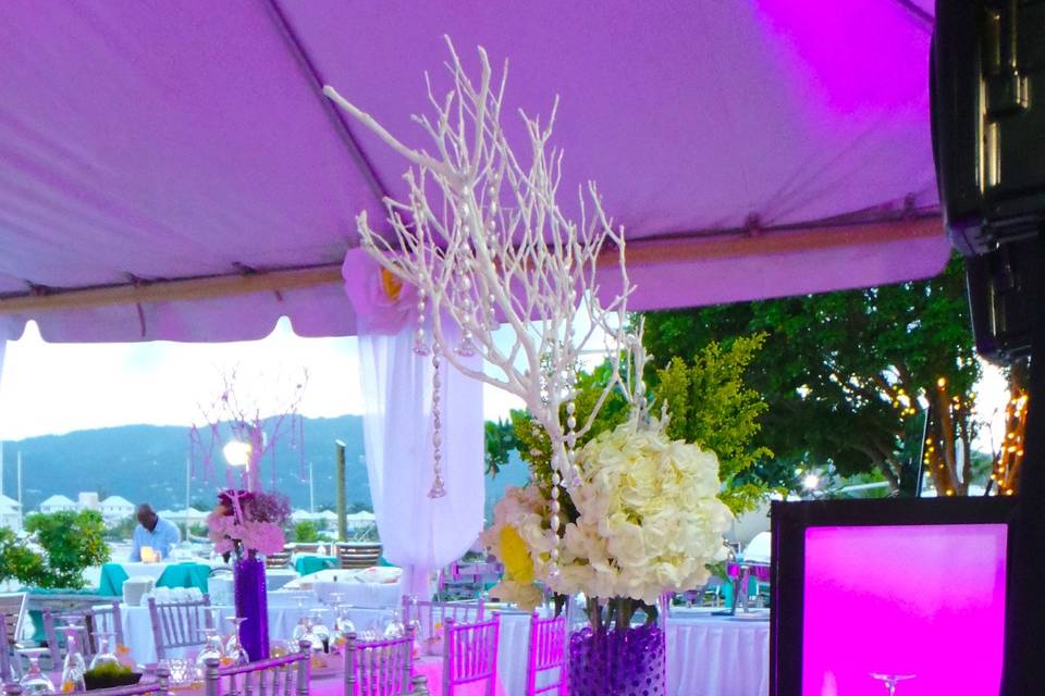 ImagePro Weddings & Decor