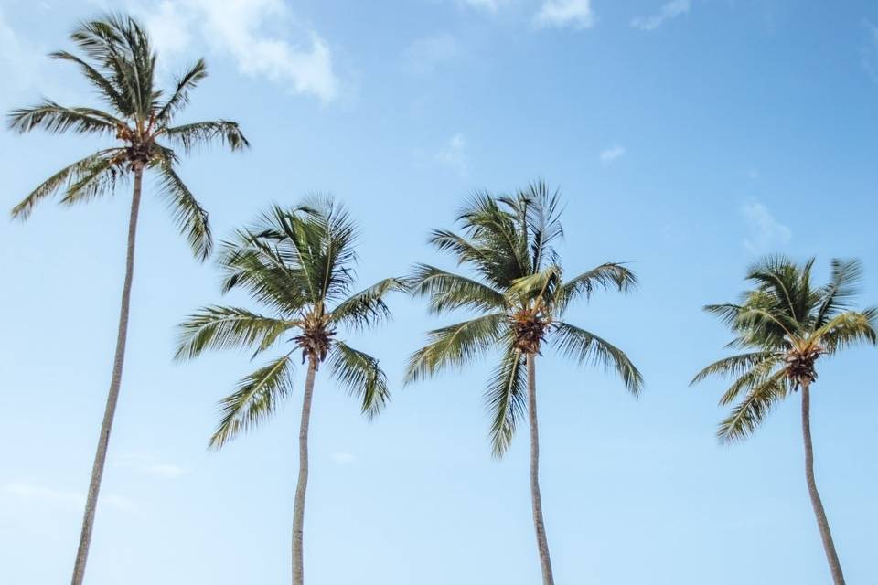 Wyndham Alltra Samana