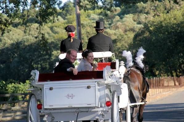 After the ceremony a ride through the vineyard.