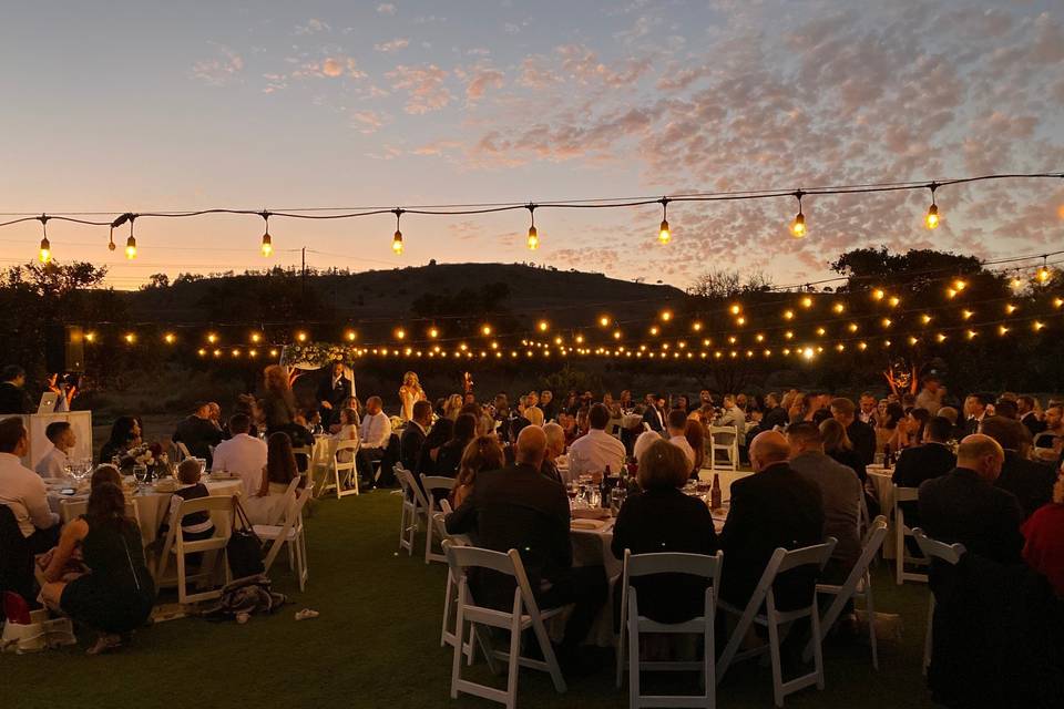 Back lawn at sunset