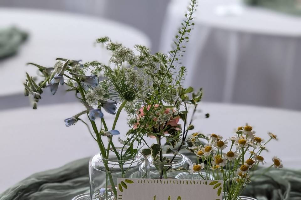 These wildflowers