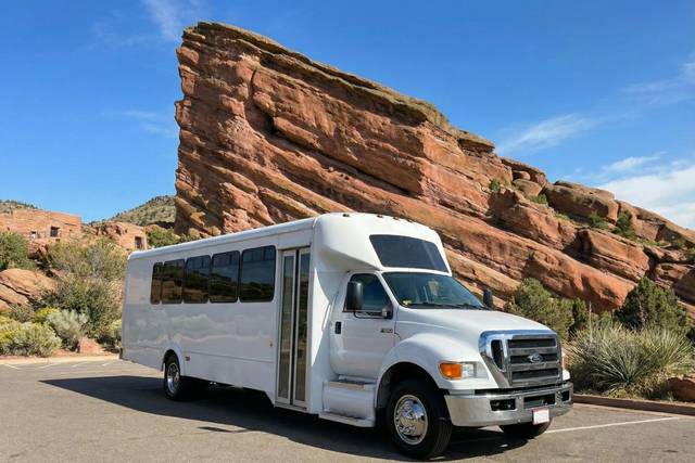 30 Passenger Wedding Party Bus