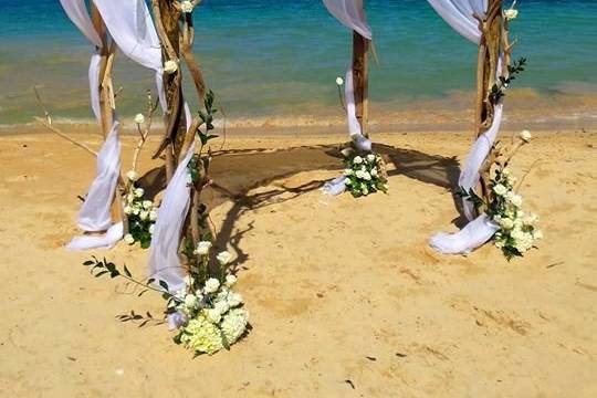 Driftwood Arch