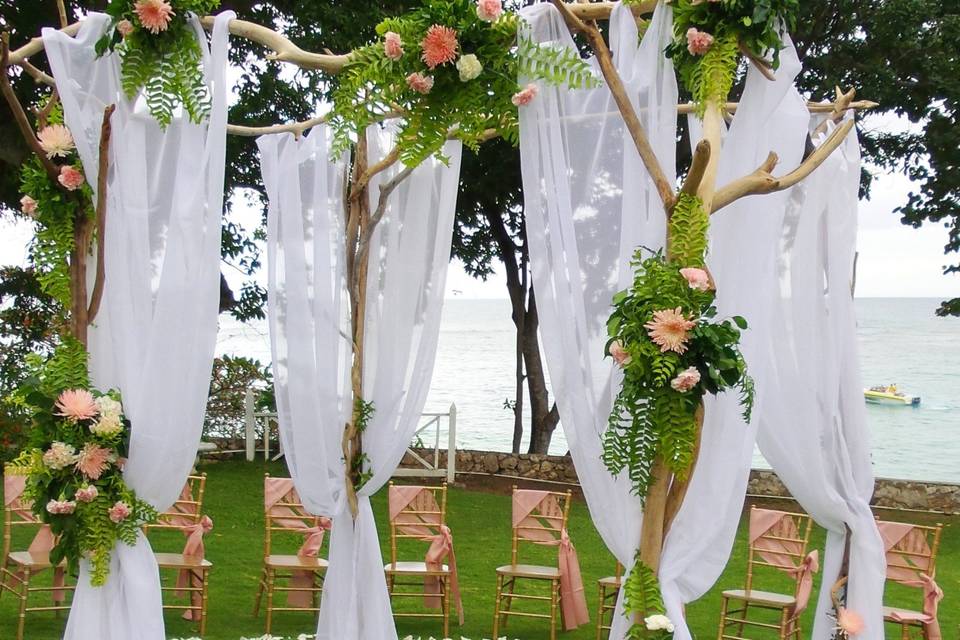 Driftwood Arch