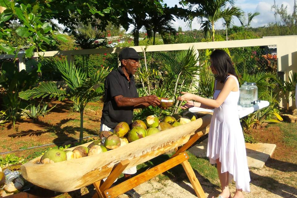 Coconut Boat