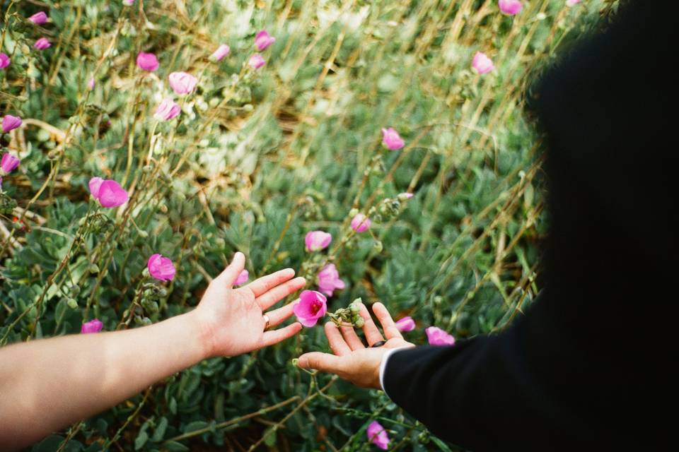 Anya McInroy Photography