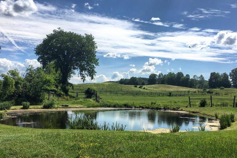 Our pond with an amazing view