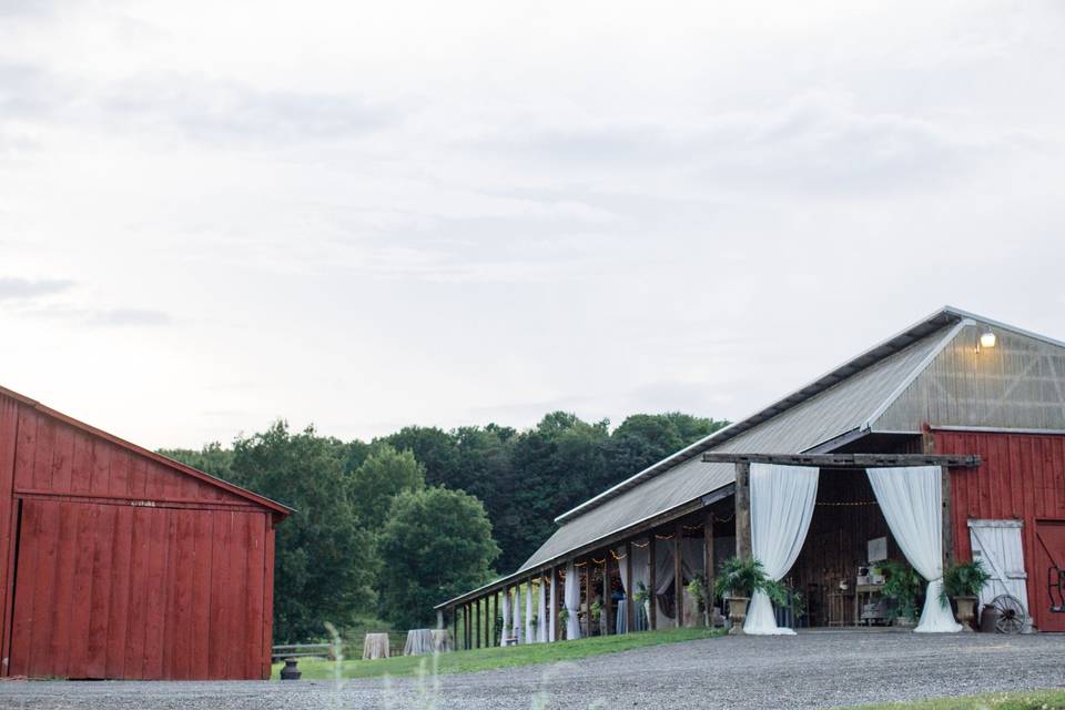 Buffalo barn