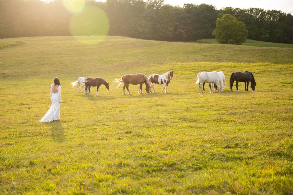 Courtney with our horses