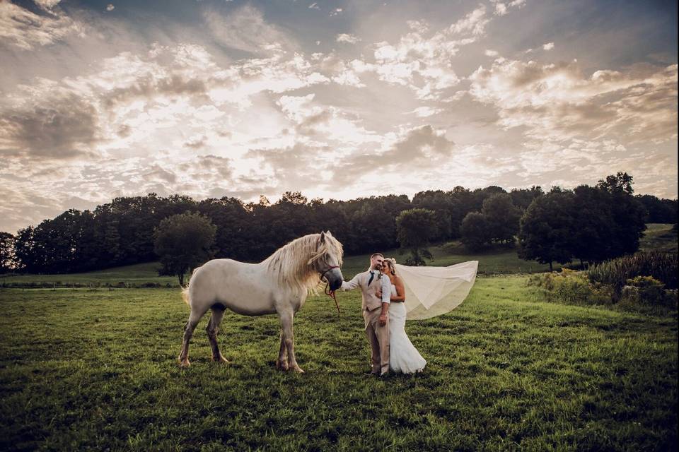 Bride & Groom with our horse