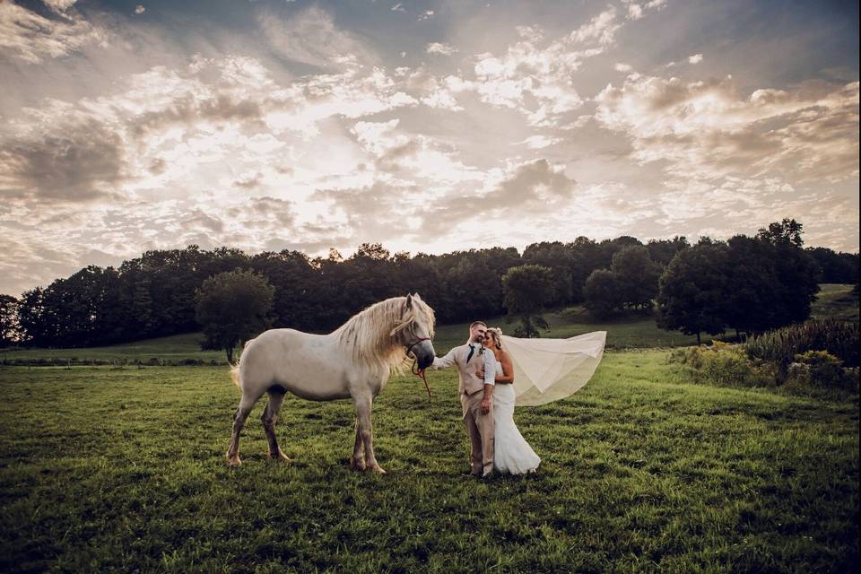 Wedding Barn at Lakota's Farm