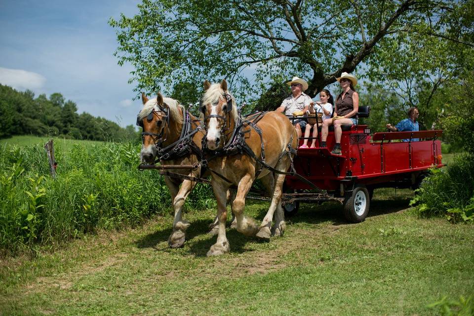 Gilbertsville Farmhouse - Venue - South New Berlin, NY - WeddingWire