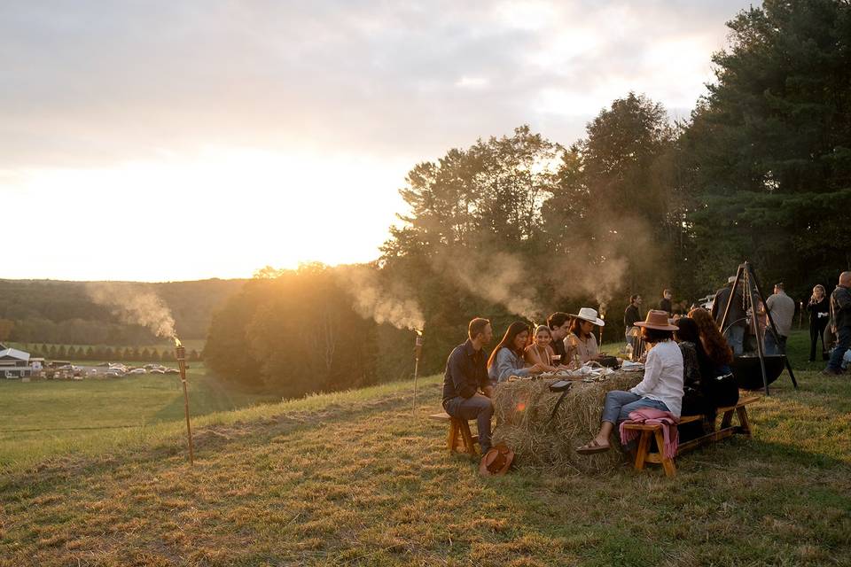 Outdoor dinners
