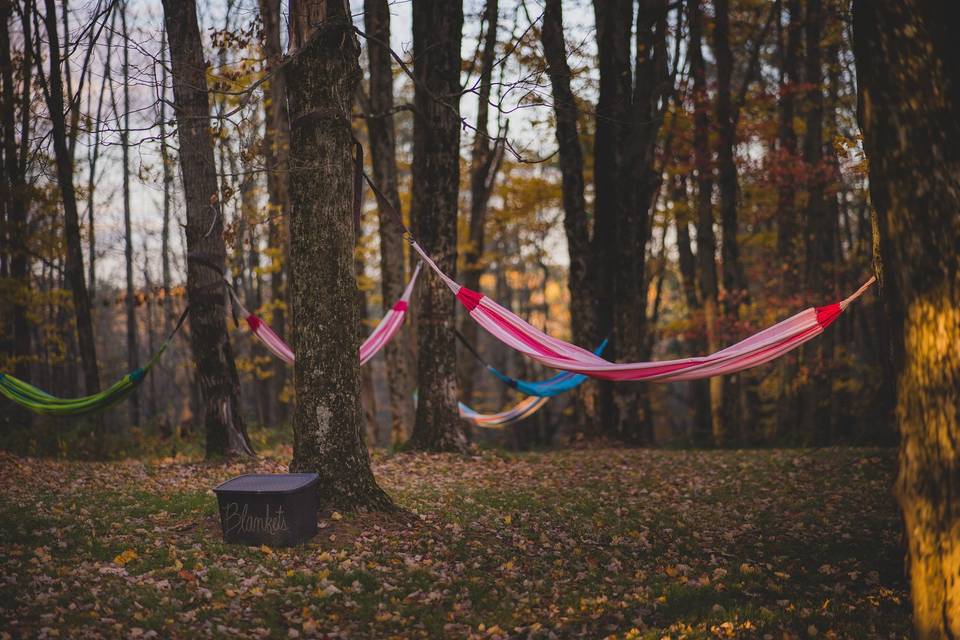 Hammocks