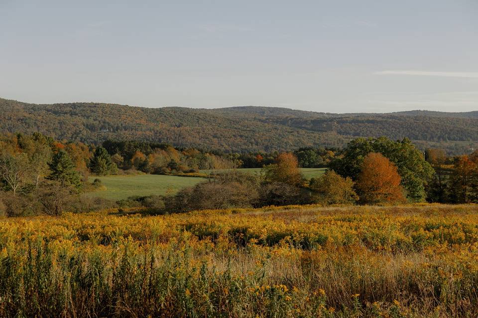 Acreage