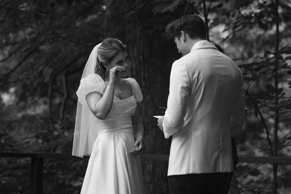 Asheville, NC Wedding Ceremony