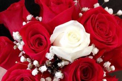 Red roses, white rose, babies breath