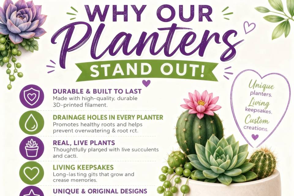 Why you will love us!