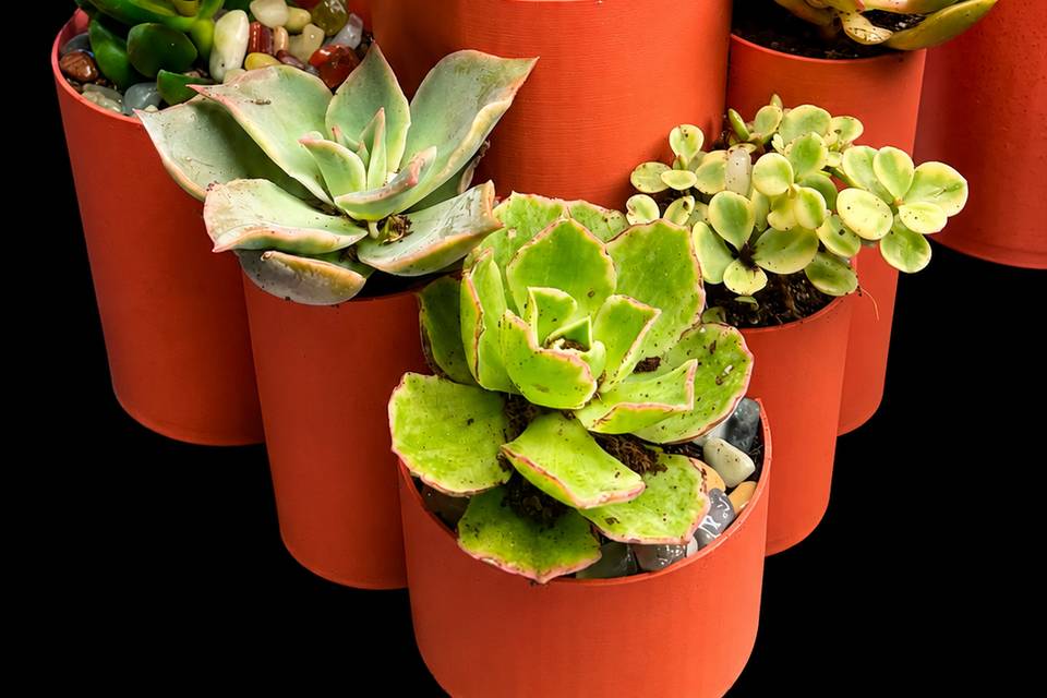 Multi level centerpiece