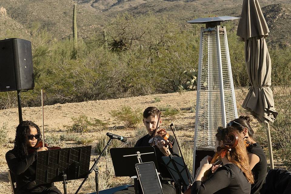 Tucson, AZ
