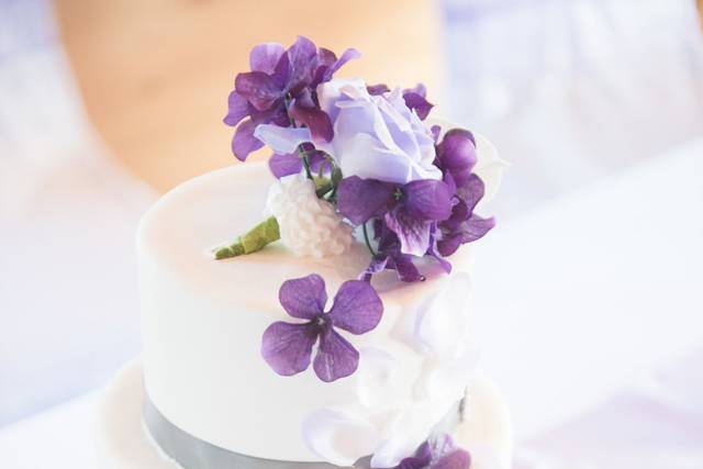 Trish Van Dyke Photography