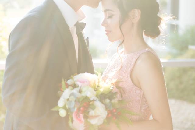 Trish Van Dyke Photography
