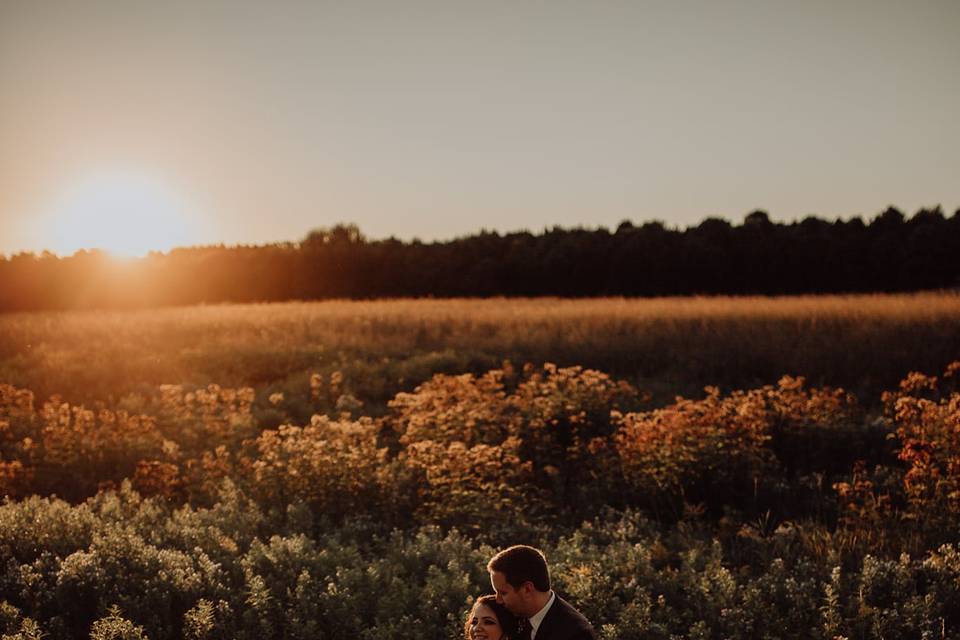 Wildflowers