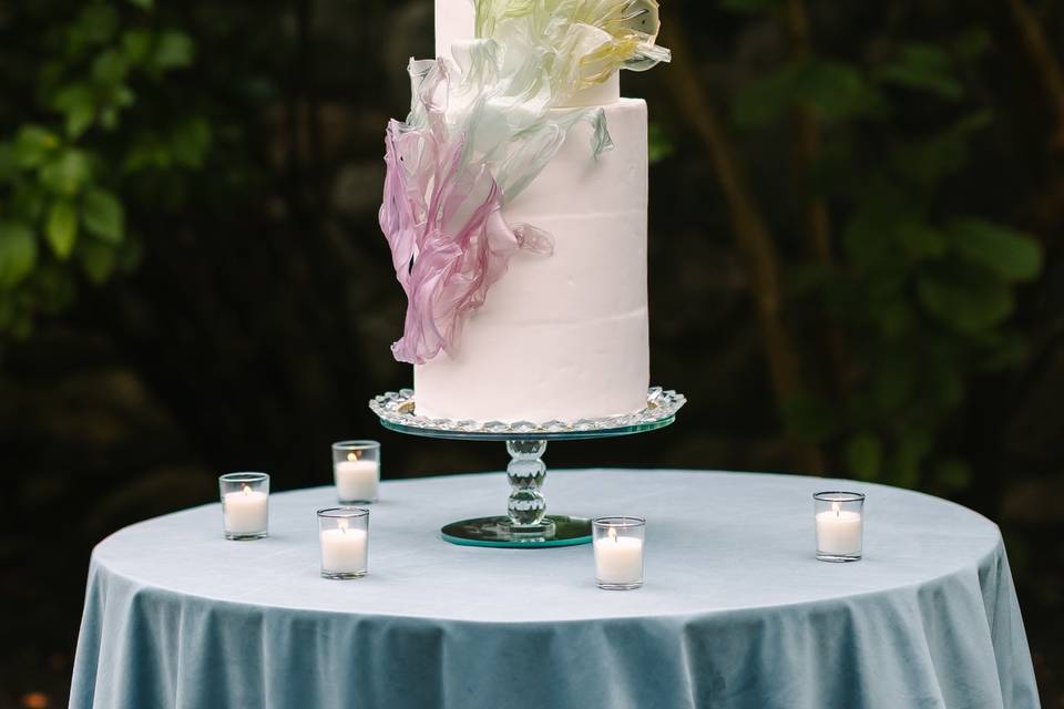 Cake Table with Velvet Peacock