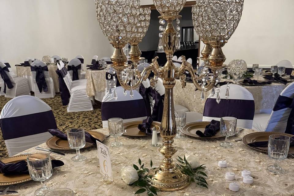 Gold Wedding w/chair covers