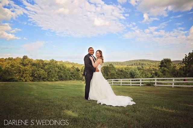 Darlene S Weddings