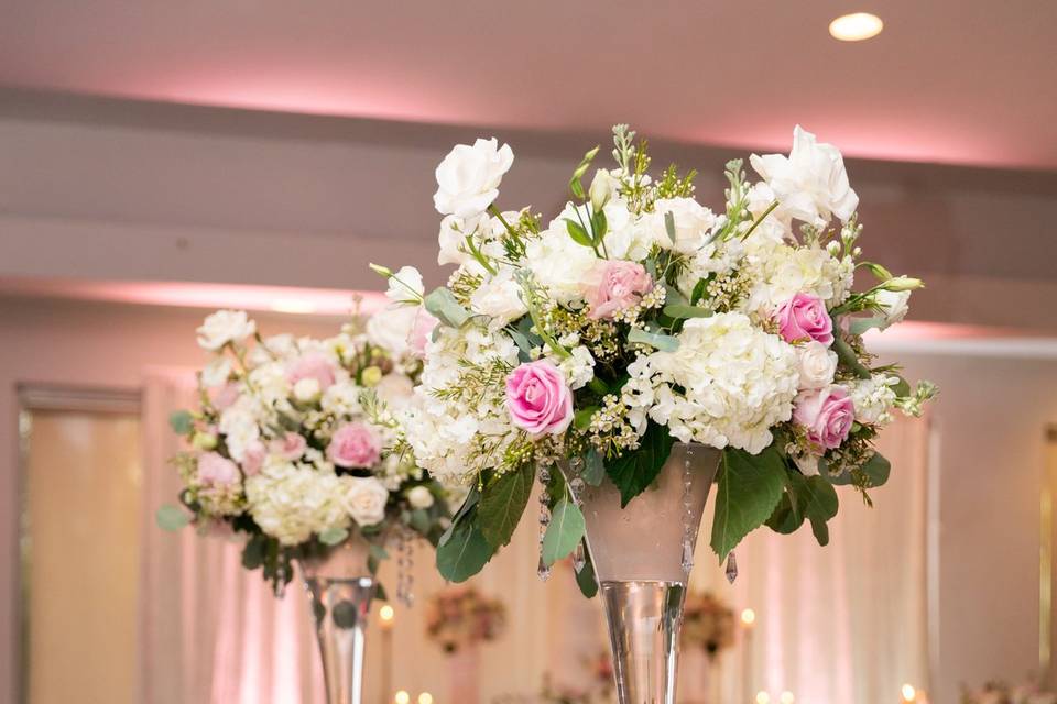 Joan Denisse Events