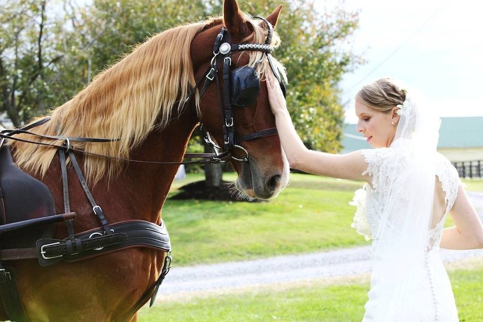 Bride portrait